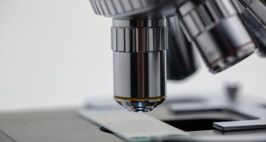 Imagen de Elexial Research, centro de investigación de Boston Medical Group